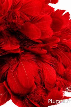 Hen -  5-9 cm - rood